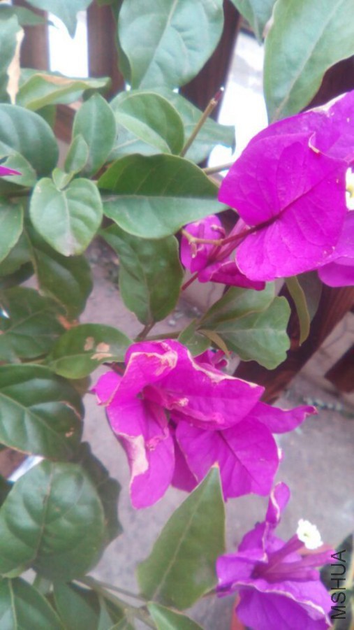 QQͼƬ20151007090332.jpg