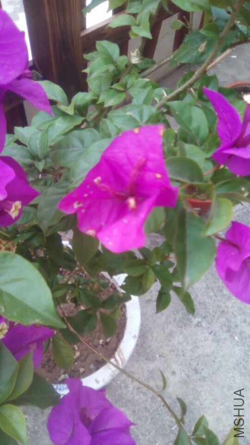 QQͼƬ20151007090327.jpg
