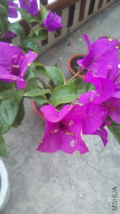 QQͼƬ20151007090316.jpg