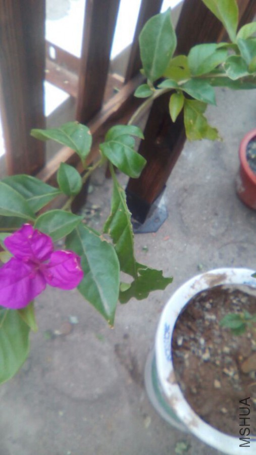 QQͼƬ20151007090337.jpg