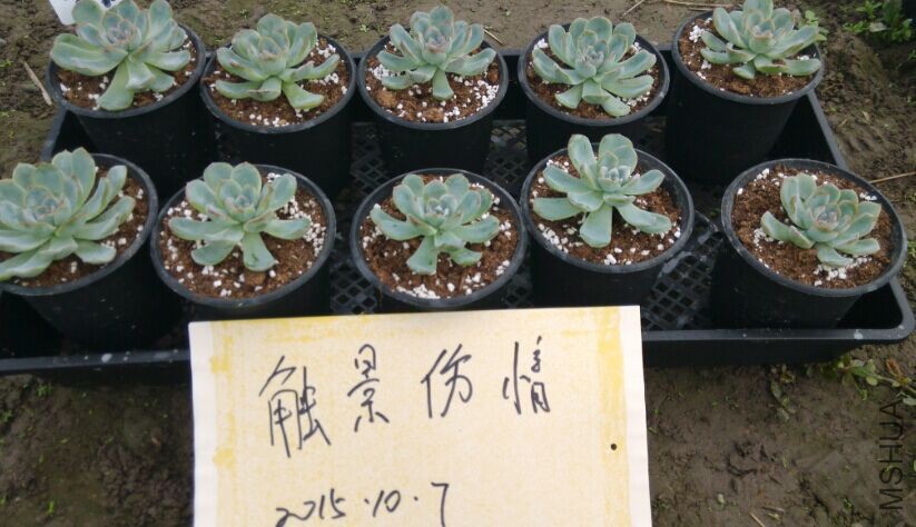 QQͼƬ20151007105324.jpg