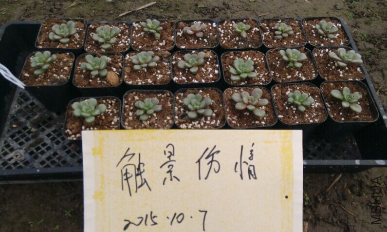 QQͼƬ20151007105338.jpg