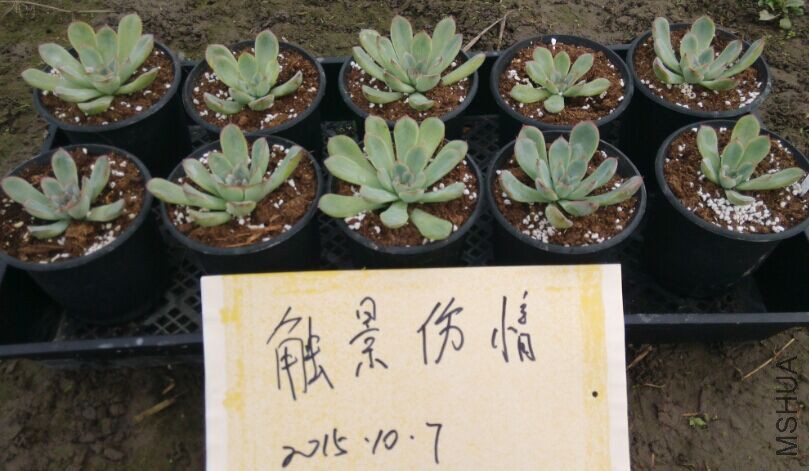 QQͼƬ20151007105708.jpg