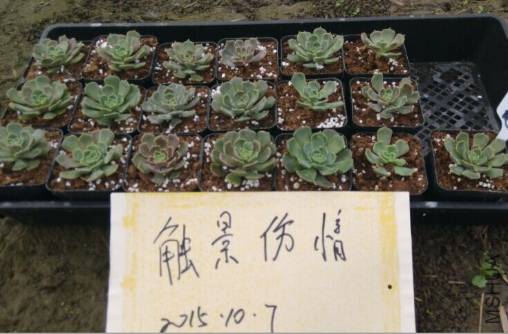 QQͼƬ20151007110019.jpg