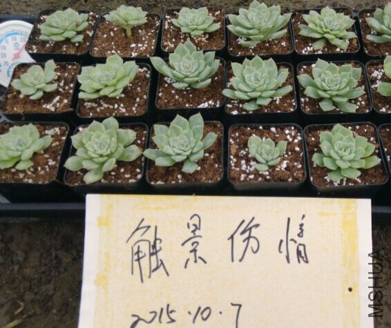 QQͼƬ20151007115825.jpg