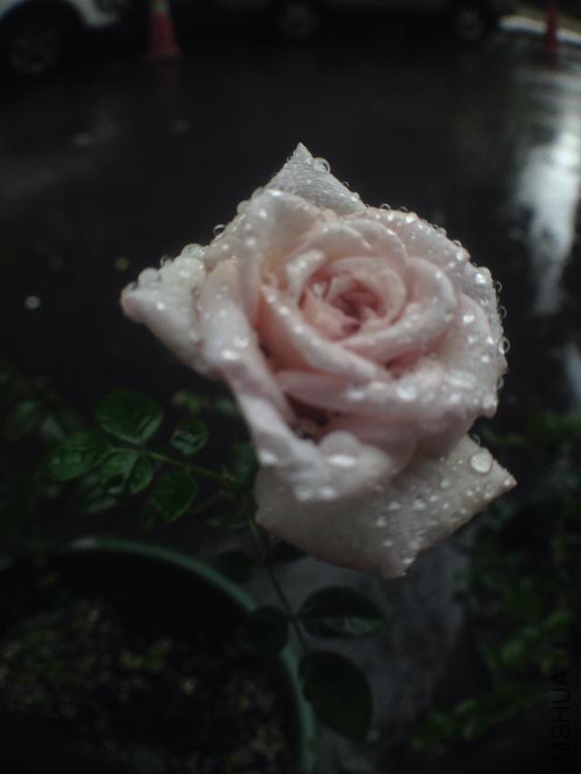 psb (1).jpg