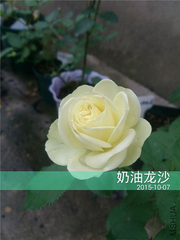 2015_10_07_17_06_40.jpg
