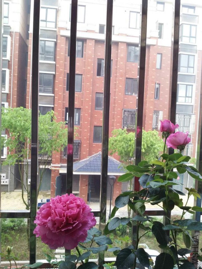 QQͼƬ20150905151137.jpg
