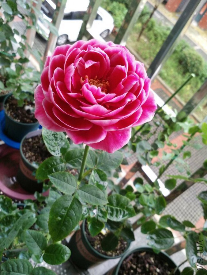 QQͼƬ20150905151153.jpg