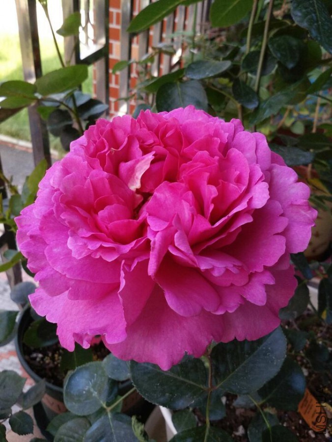 QQͼƬ20150905151132.jpg
