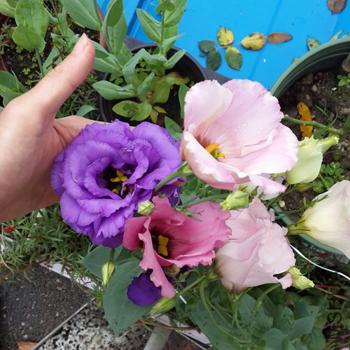20150711_104952-1.jpg