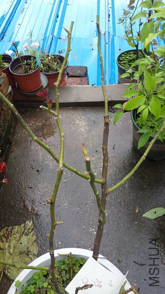 20151007_112346.jpg