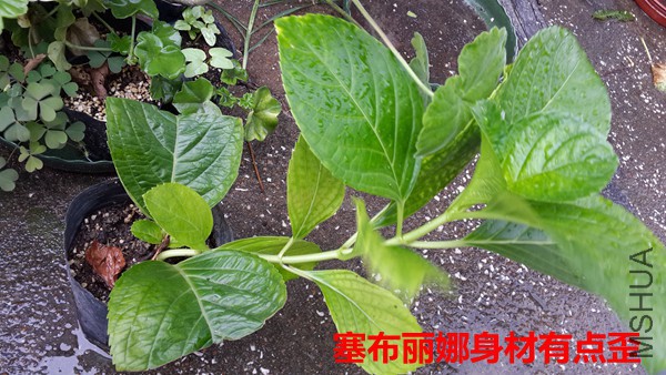 20151007_115741.jpg