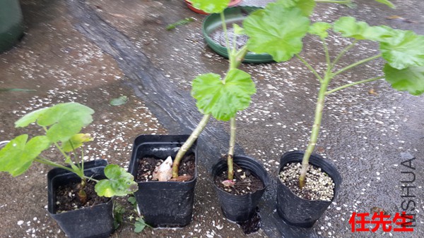20151007_121333.jpg
