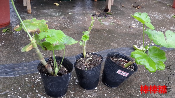 20151007_121534.jpg