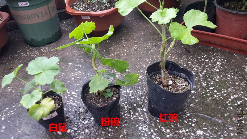 20151007_121600.jpg