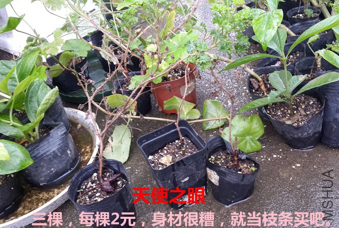 20151007_121902.jpg