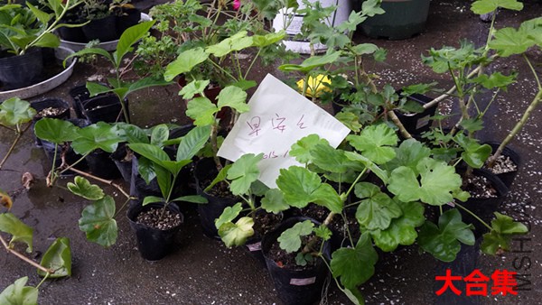 20151007_122148.jpg