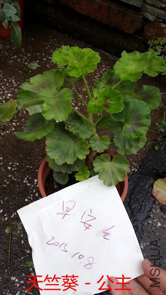 20151007_130843.jpg
