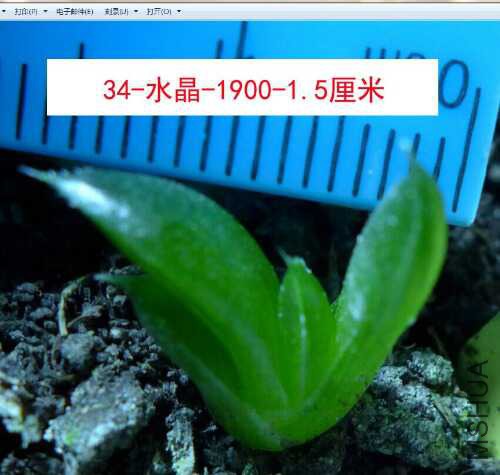 5a02c928a4873bac.jpg