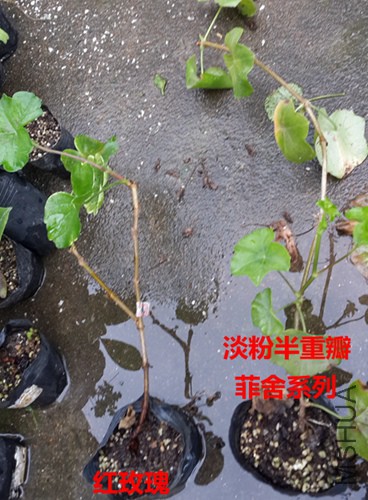 20151007_121957.jpg