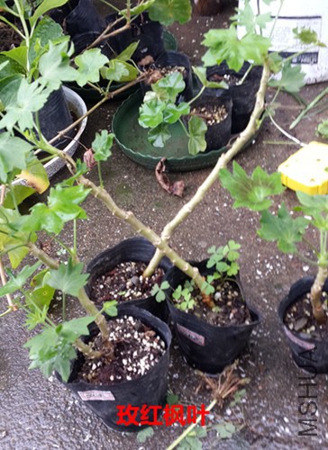 20151007_121426.jpg