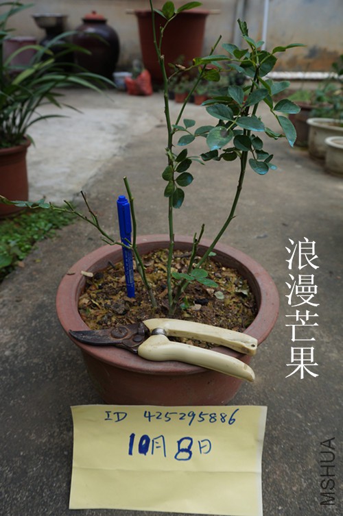 DSC02507.JPG