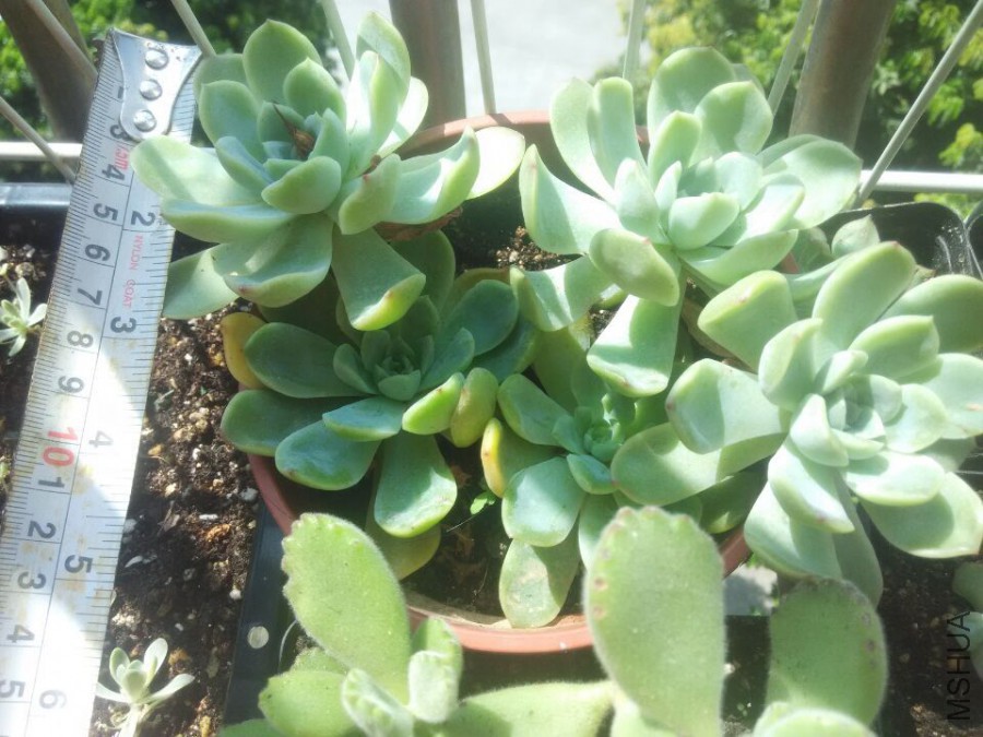 QQͼƬ20151008135029.jpg