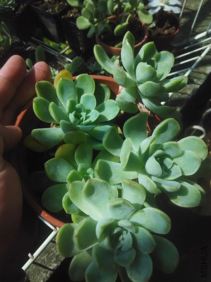 QQͼƬ20151008135039.jpg