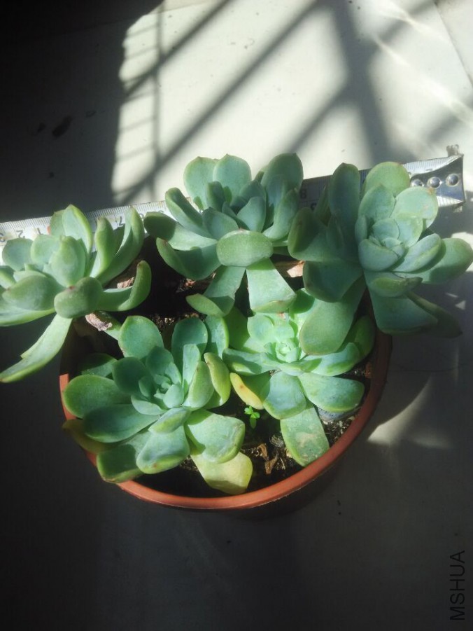 QQͼƬ20151008135046.jpg