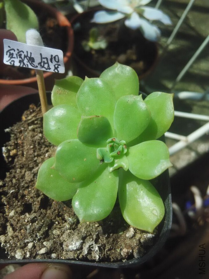 QQͼƬ20151008135052.jpg