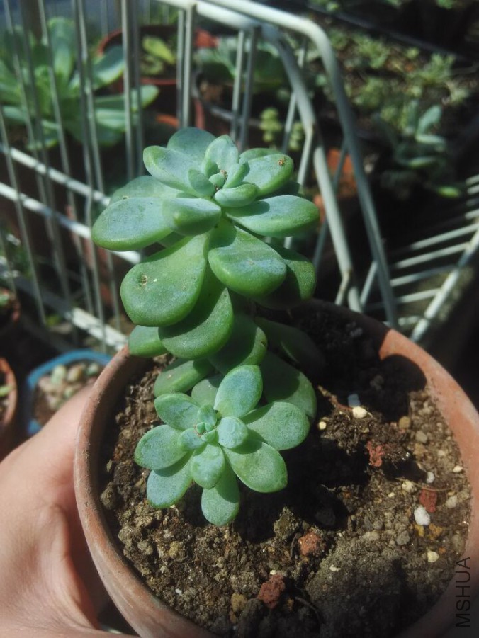 QQͼƬ20151008135226.jpg