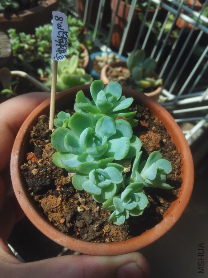 QQͼƬ20151008135311.jpg