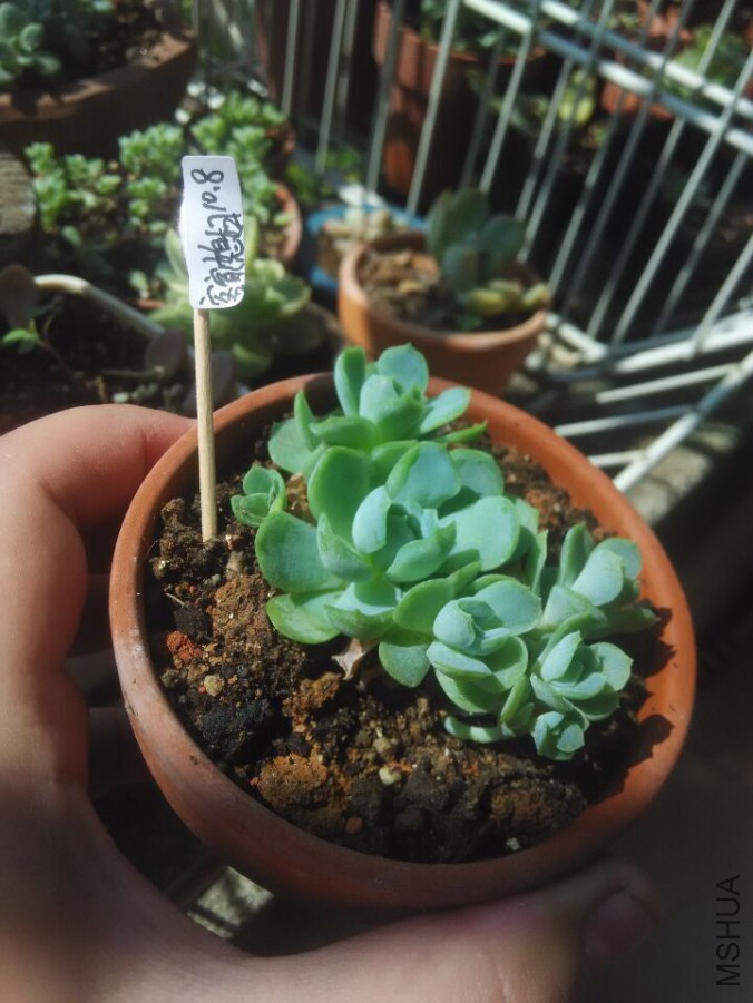 QQͼƬ20151008135318.jpg