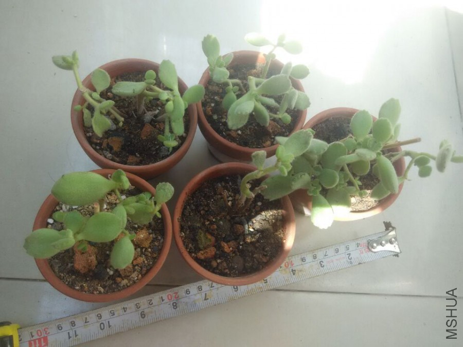 QQͼƬ20151008135323.jpg
