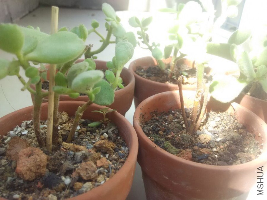 QQͼƬ20151008135329.jpg