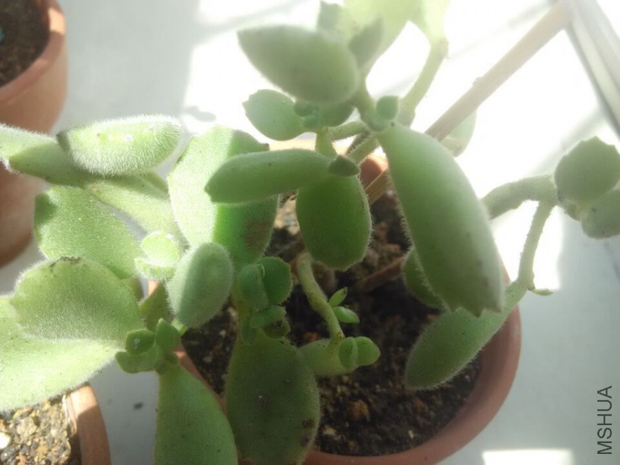 QQͼƬ20151008135334.jpg