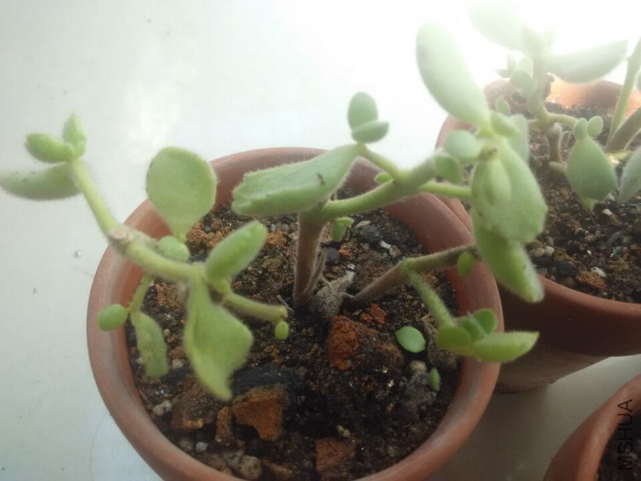 QQͼƬ20151008135338.jpg