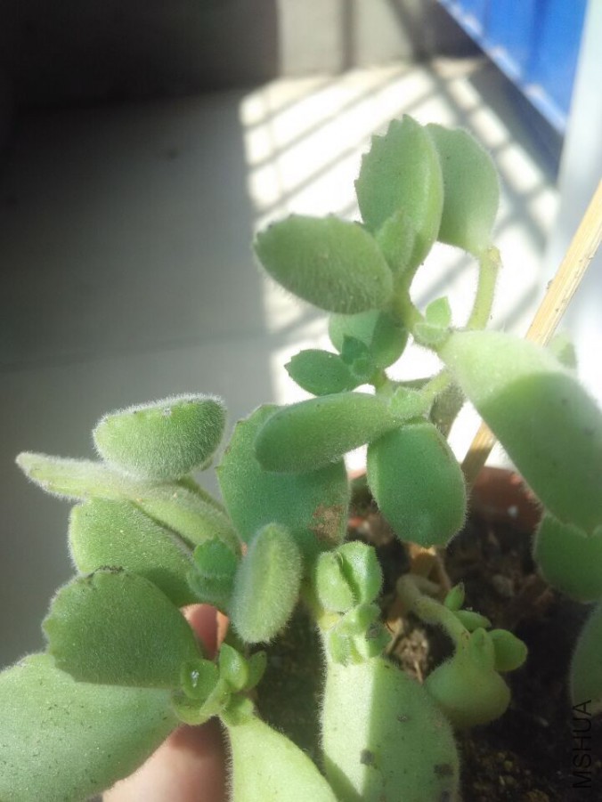 QQͼƬ20151008135343.jpg