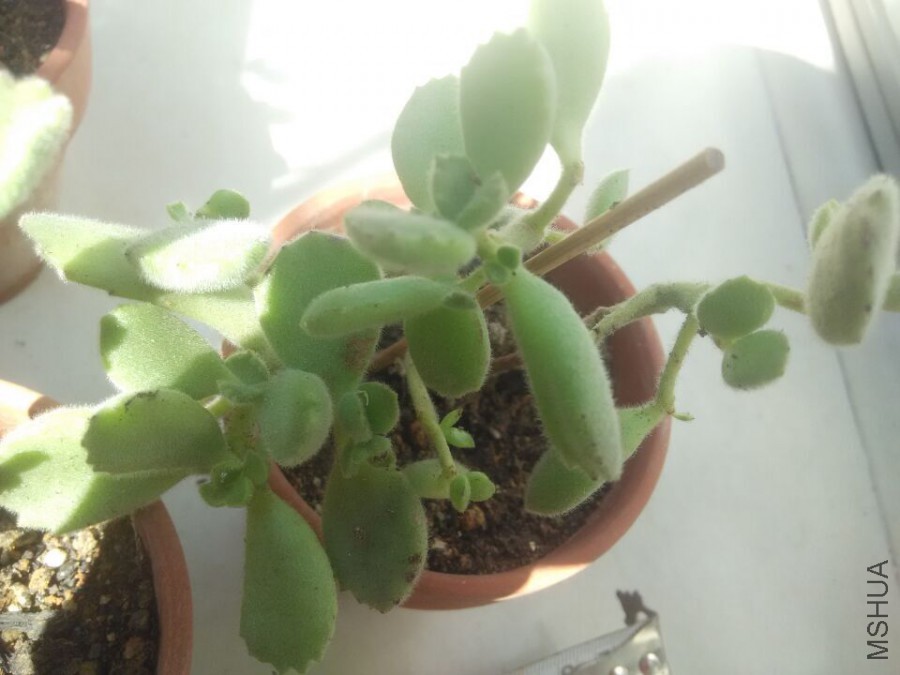QQͼƬ20151008135347.jpg