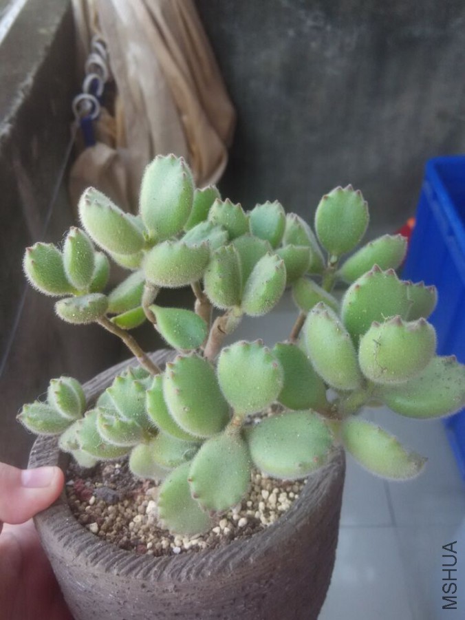 QQͼƬ20151008140129.jpg