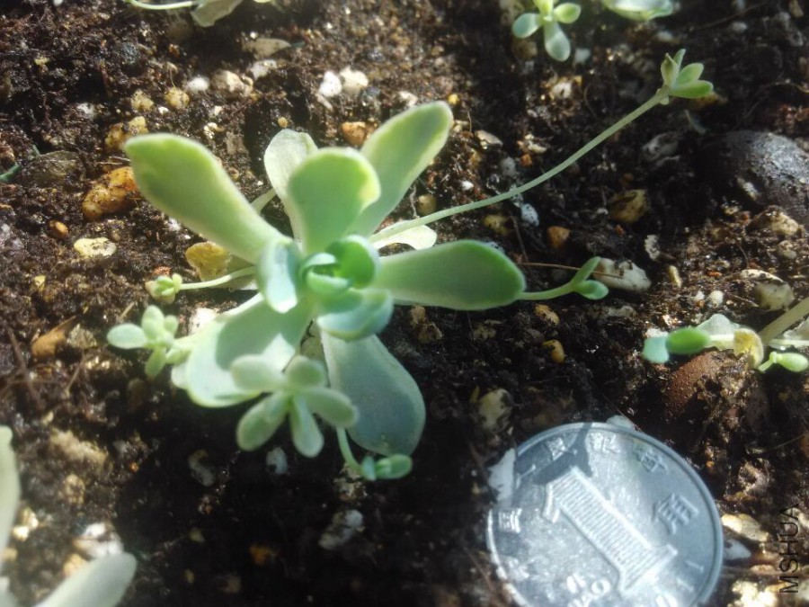 QQͼƬ20151008135208.jpg