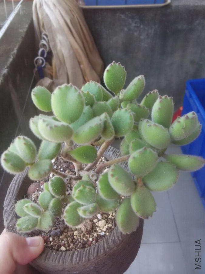 QQͼƬ20151008140112.jpg