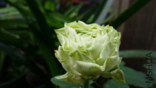 20151008_083643.jpg