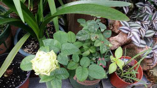 20151008_083649.jpg