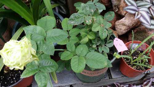 20151008_083708.jpg