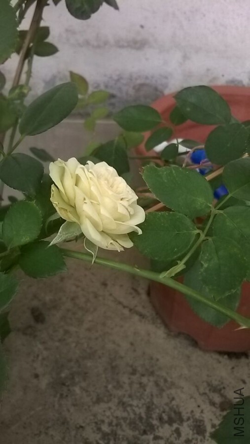 QQͼƬ20151008162759.jpg