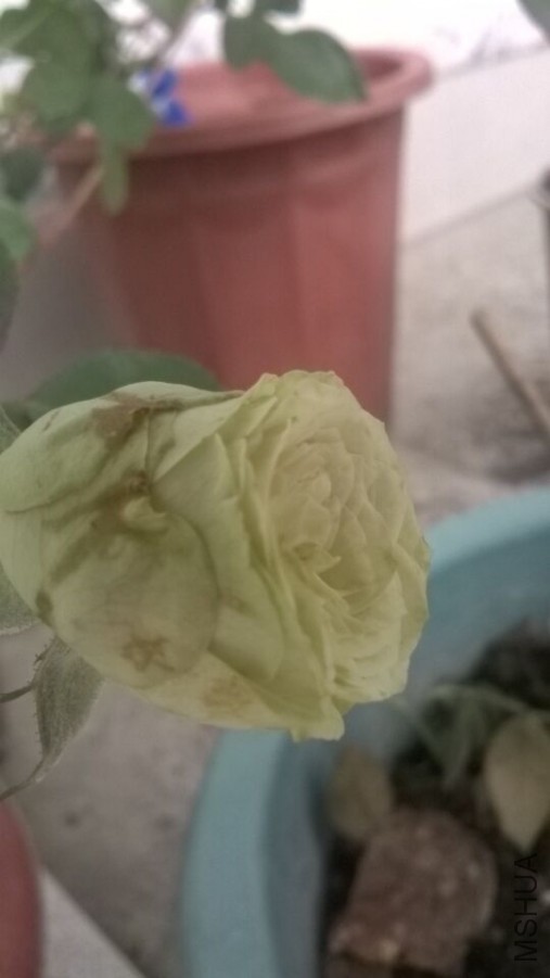 QQͼƬ20151008162755.jpg