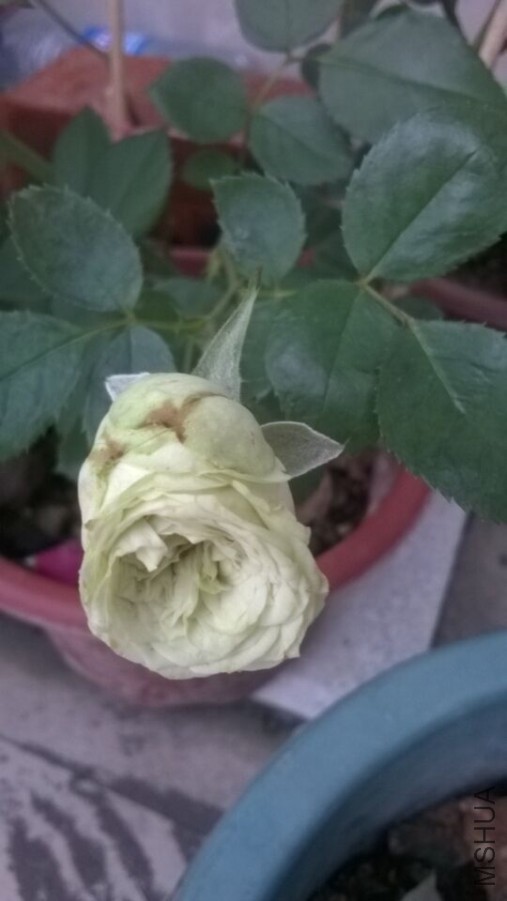 QQͼƬ20151008162750.jpg