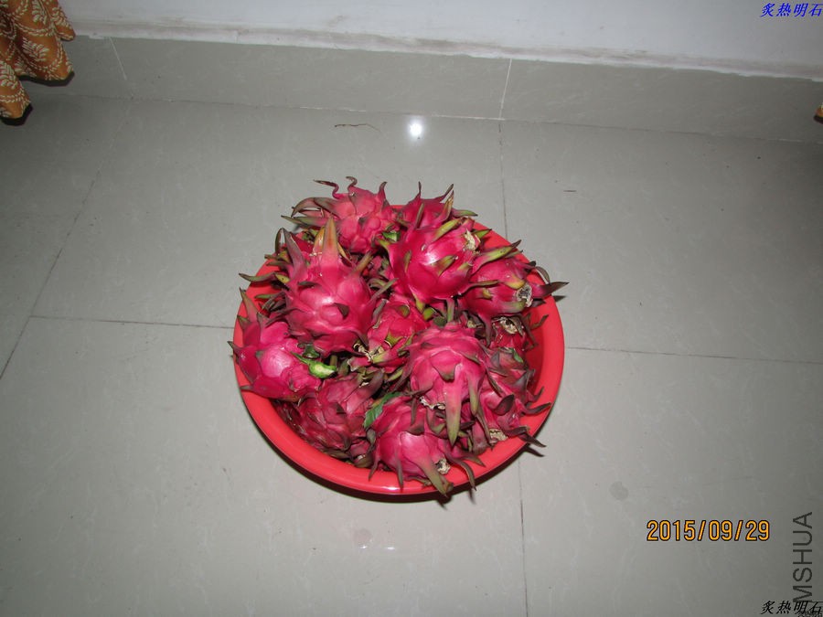 IMG_0771_nEO_IMG.jpg